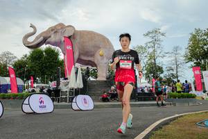 BIB: 
                            <button type="button" onclick="openModal(26528753)" class="btn btn-primary btn-sm float-right btn-popup" data-toggle="modal" data-target=".modal-high-quality">
                        <i class="fas fa-shopping-cart"></i> Add to Cart
                    </button>
                                            <button type="button" onclick="isThisMe(26528753, true)" class="btn btn-success btn-sm float-right btn-popup btn-isme hidden" data-toggle="tooltip" data-placement="bottom" title="นี่คือรูปของคุณใช่ไหม คลิกที่นี่เพื่อเอาเข้าอัลบั้ม">
                        <i class="fas fa-plus"></i> Add to album
                    </button>
                    <button type="button" onclick="isThisMe(26528753, false)" class="btn btn-warning btn-sm float-right btn-popup btn-isnotme hidden">
                        <i class="fas fa-ban"></i> Remove from album
                    </button>